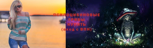 ПСИЛОЦИБИНОВЫЕ ГРИБЫ Бронницы