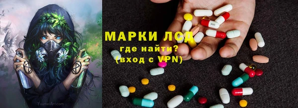 ПСИЛОЦИБИНОВЫЕ ГРИБЫ Бронницы