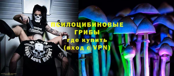круглые Бородино