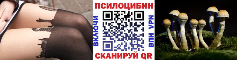 магазин продажи наркотиков Юхнов Псилоцибиновые грибы мицелий
